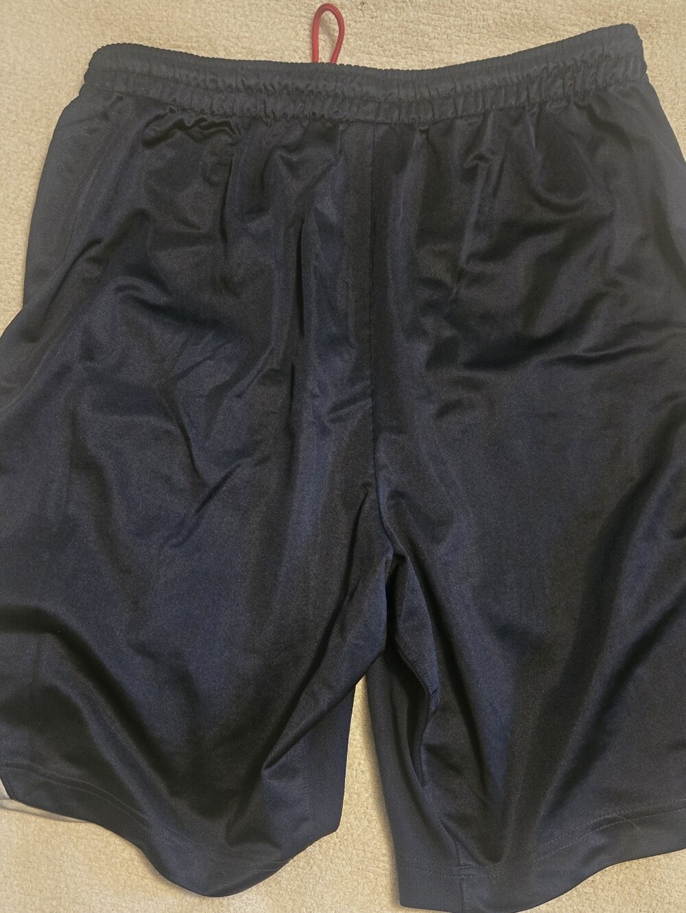 Air Jordan Athletic Shorts Blue Silver Large